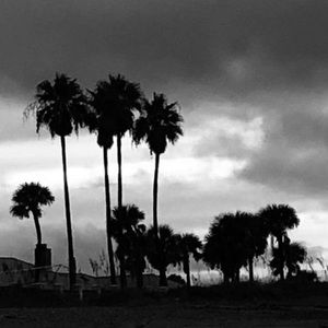 Meet your Posher, Candy